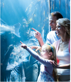 SeaLife Aquarium